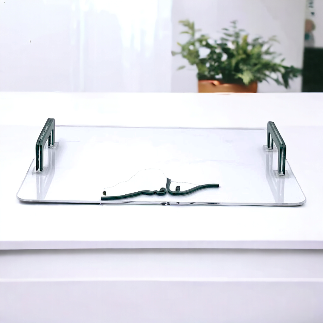 صينية مستطيلة من الاكريليك Rectangular Acrylic Tray