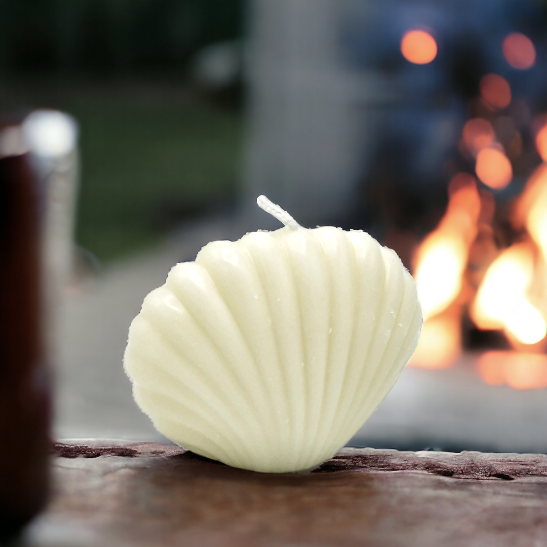 شمعة على شكل صدف Seashell candle