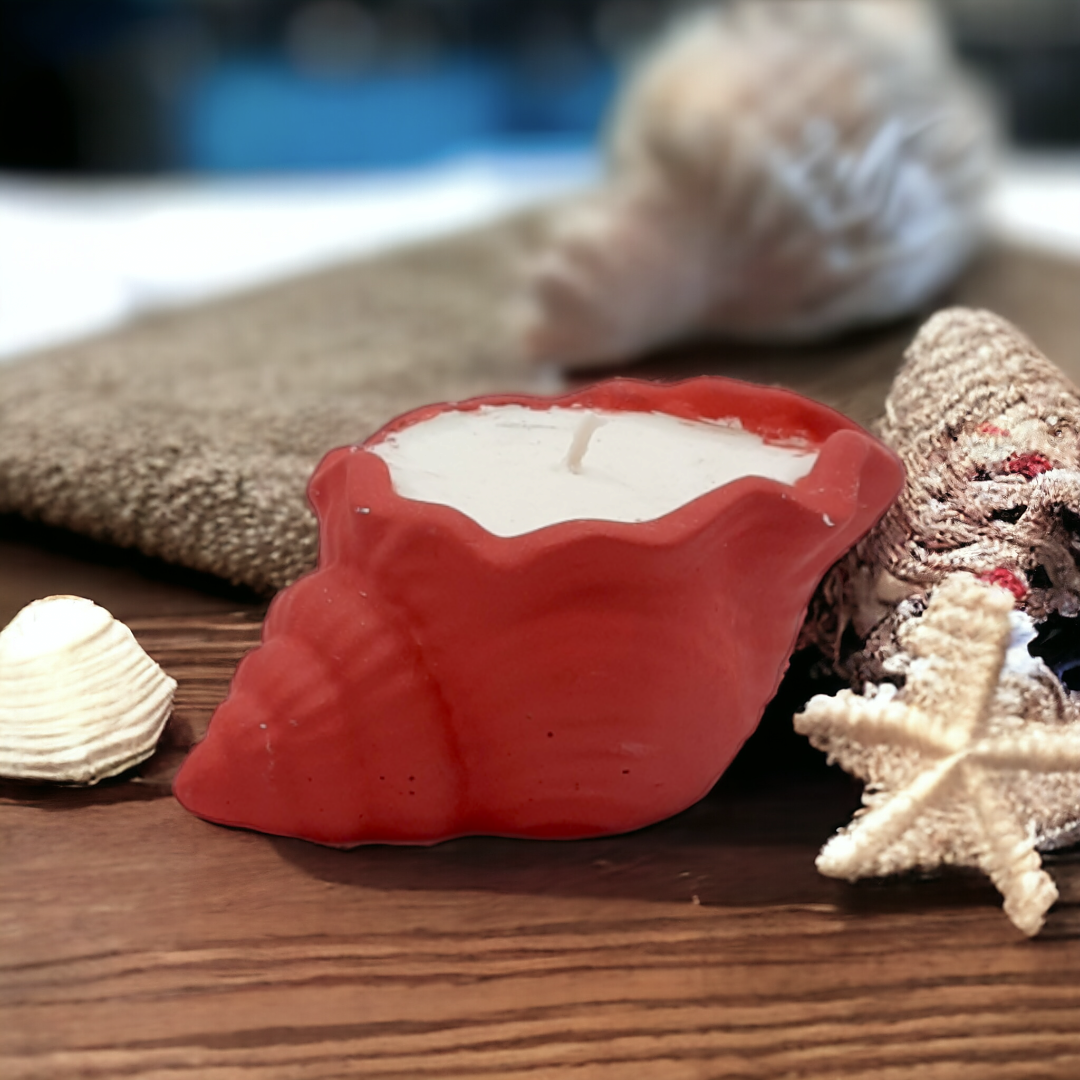 شمعة في كونكريت الصدف Candle in Concrete seashell