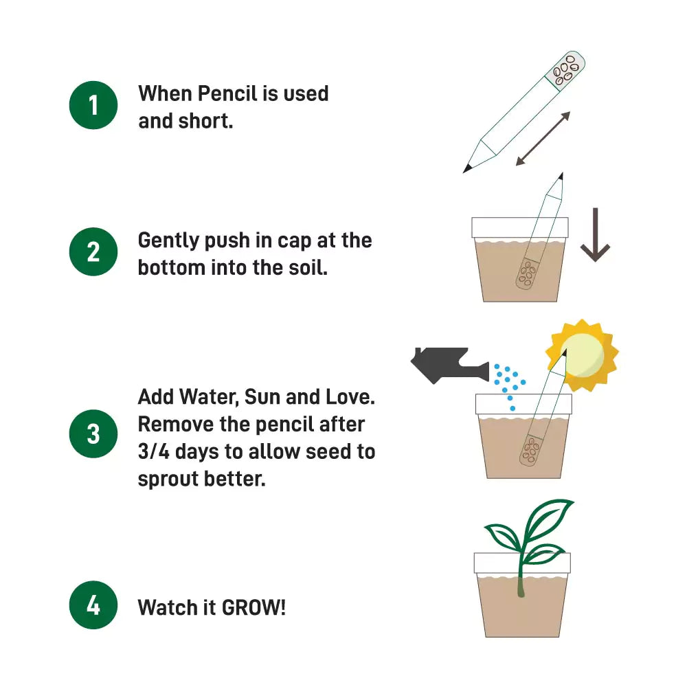 Plantable A Pencils Set Seeds Tomato Coriander Chili Mustard Fenugreek