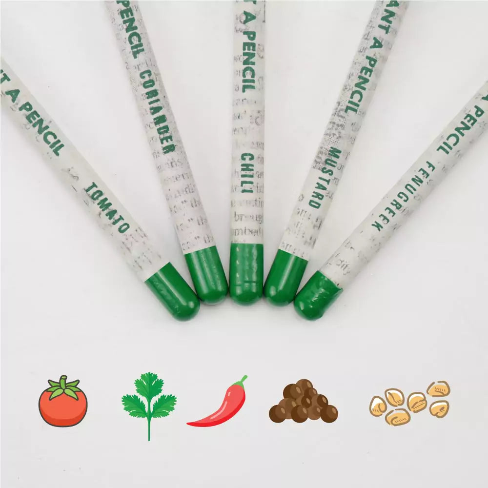 Plantable A Pencils Set Seeds Tomato Coriander Chili Mustard Fenugreek